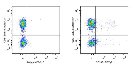PE-Cy7 Mouse Anti-Human CD103 Antibody (Ber-ACT8)