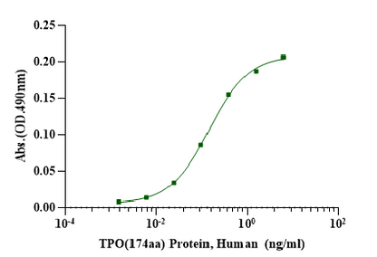 TPO(174aa) Protein, Human