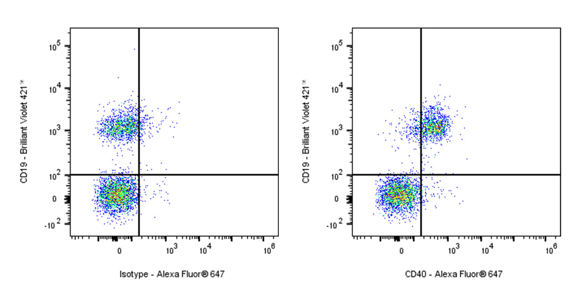 Mouse Anti-Mouse CD40 Antibody (S-3723)