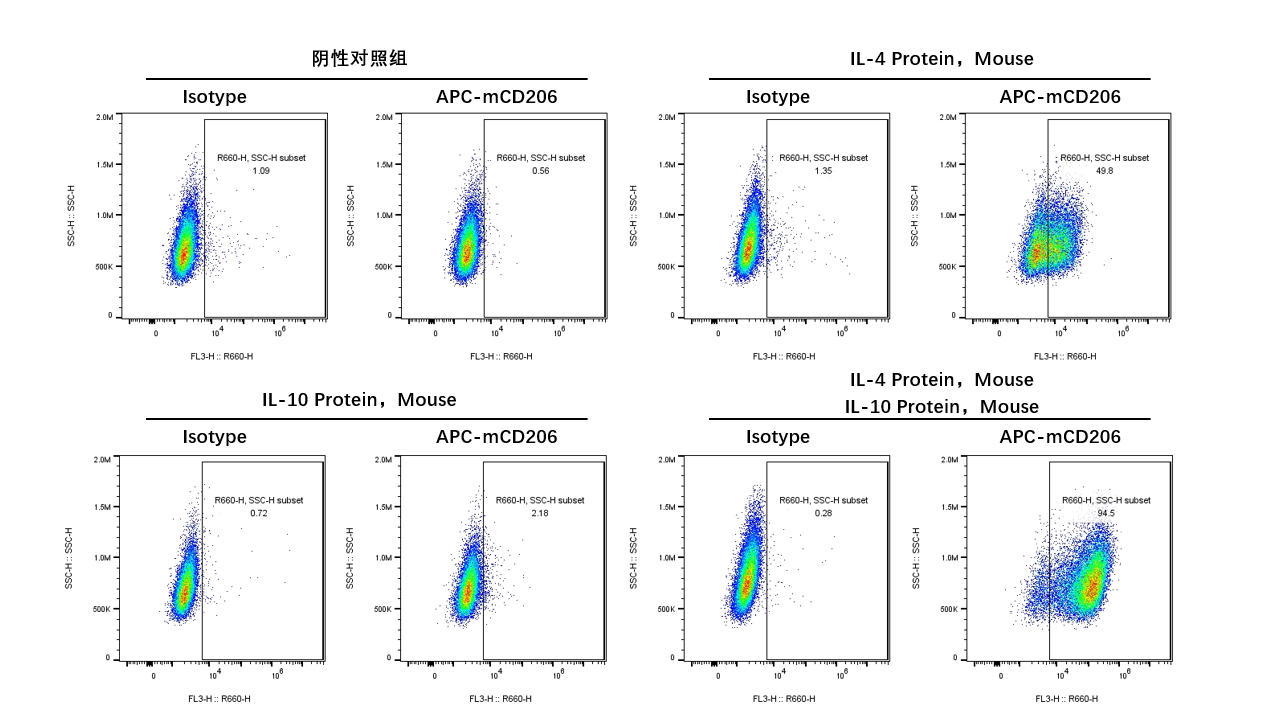 IL-10 Protein, Mouse