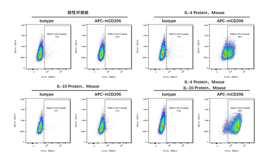 IL-10 Protein, Mouse