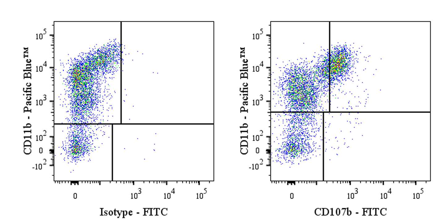 FITC Rat Anti-Mouse CD107b (Mac-3) Antibody (M3/84)