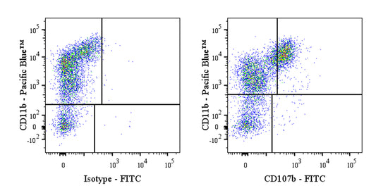 FITC Rat Anti-Mouse CD107b (Mac-3) Antibody (M3/84)