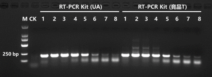 StartScript® One Step RT-PCR Kit