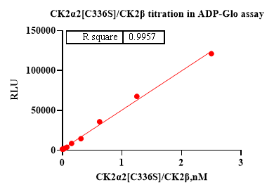CK2α2[C336S]/CK2β Protein