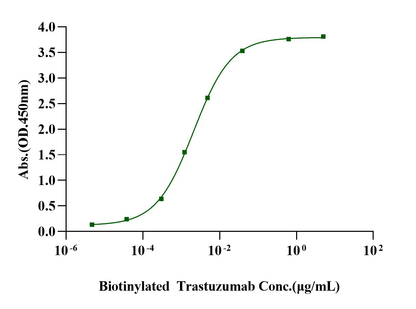 Her2 Fc Chimera Protein, Human