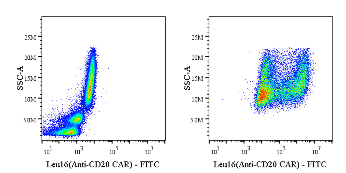 Anti-Mouse Leu16 scFv (Anti-CD20 CAR) Recombinant Rabbit mAb (FITC Conjugate) (S-5469)