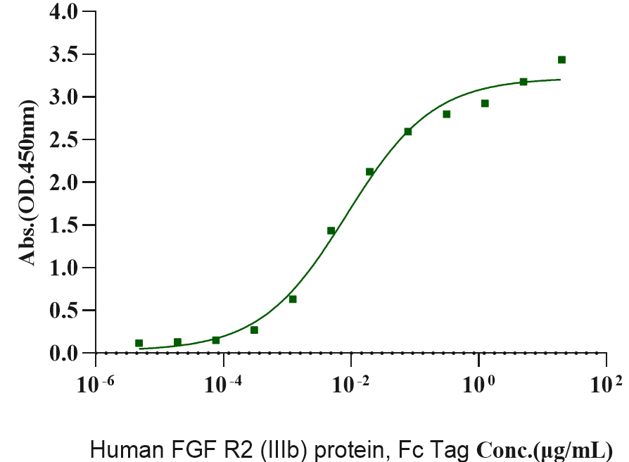 FGF-10 Protein, Mouse