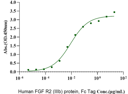 FGF-10 Protein, Mouse