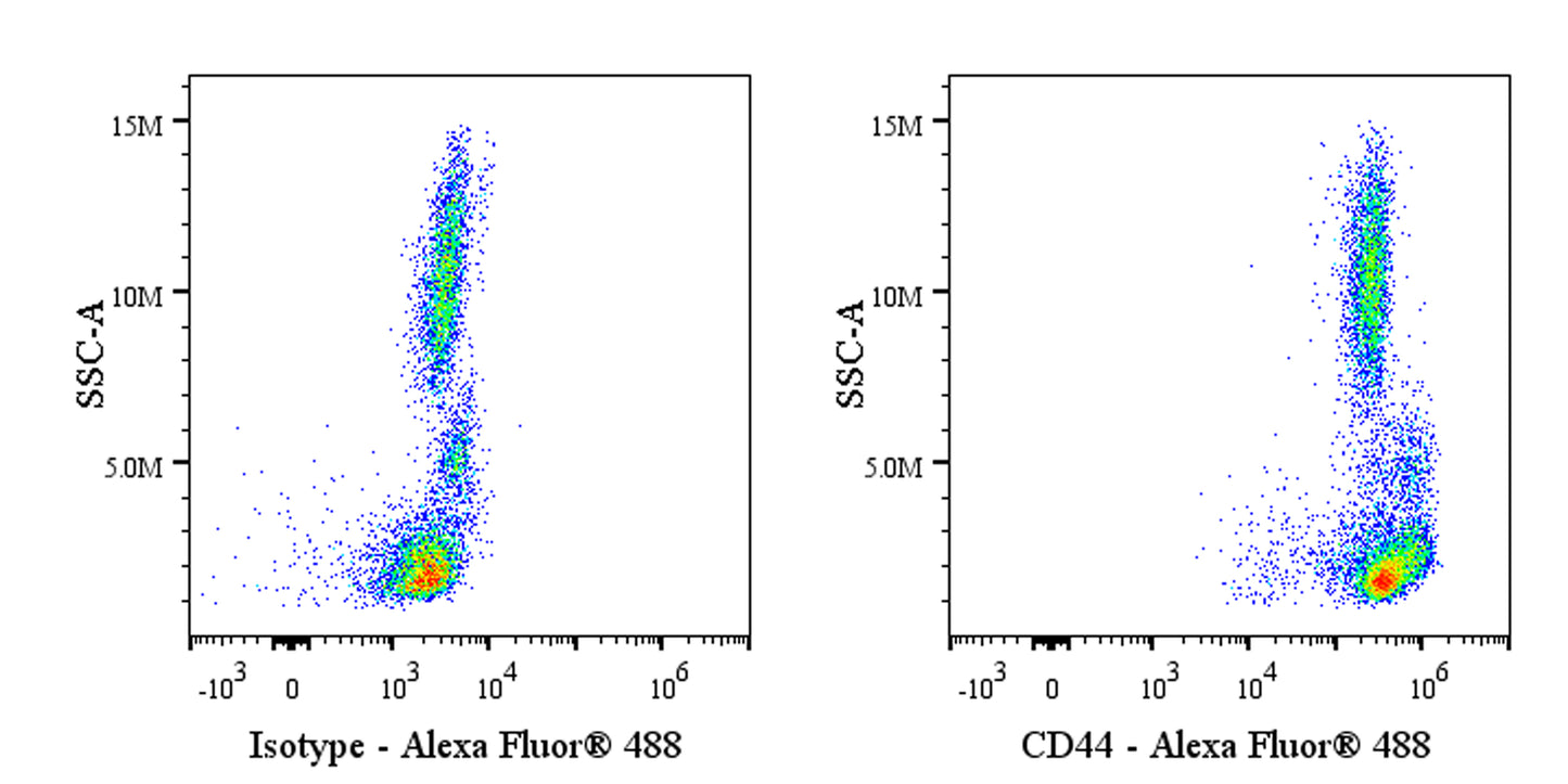 Invivo Anti-Human CD44 Recombinant mAb