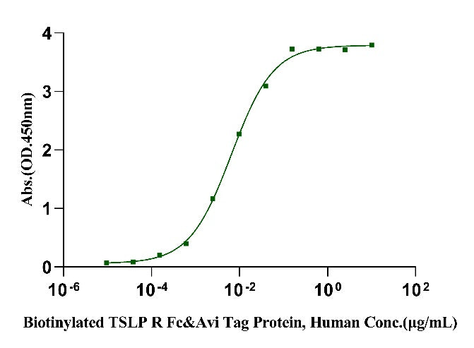 TSLP Fc Chimera Protein, Human