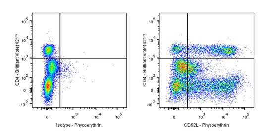 PE Mouse Anti-Human CD62L Antibody (S-937-77)