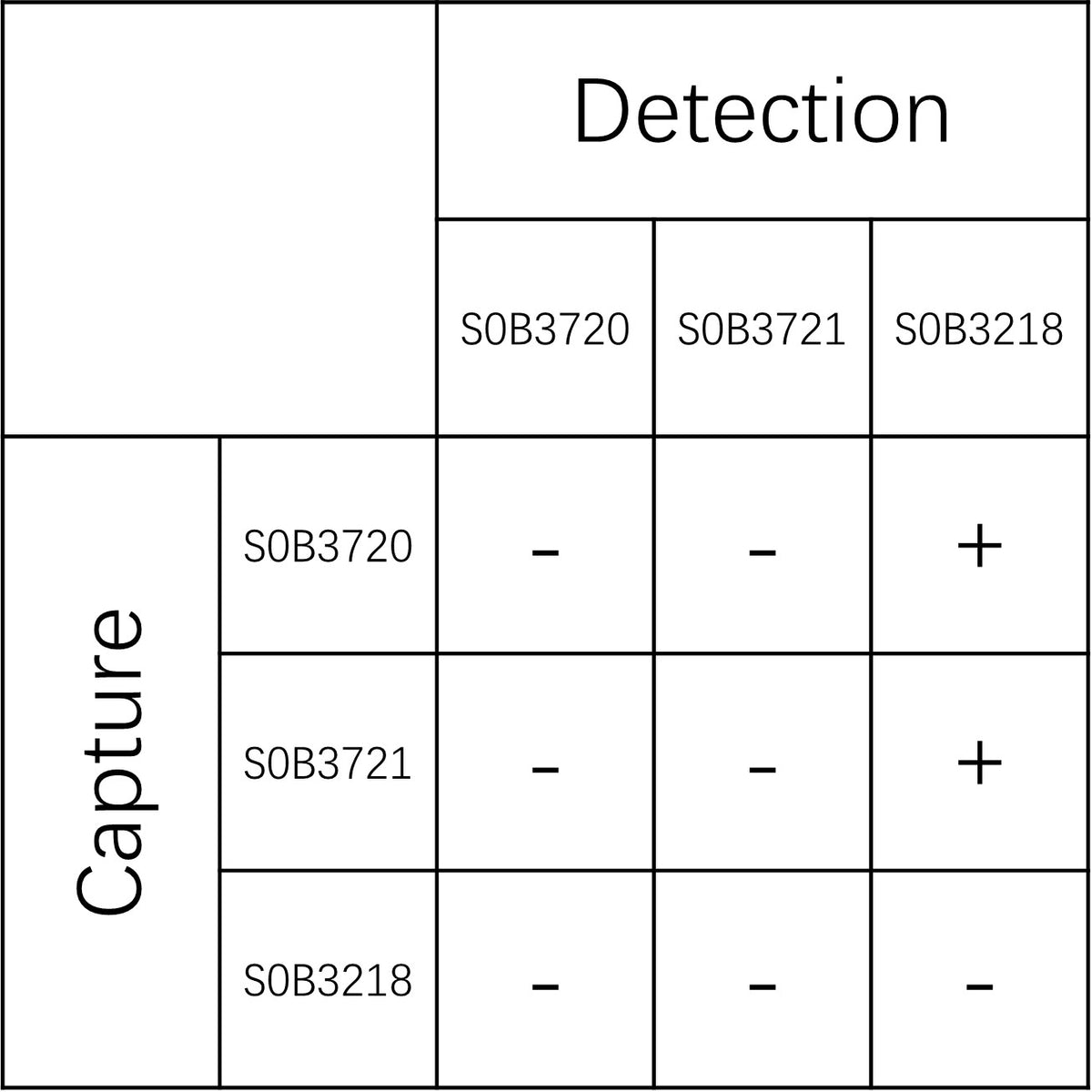 Tau (phospho T212) Recombinant Rabbit mAb (SDT-3696-154)