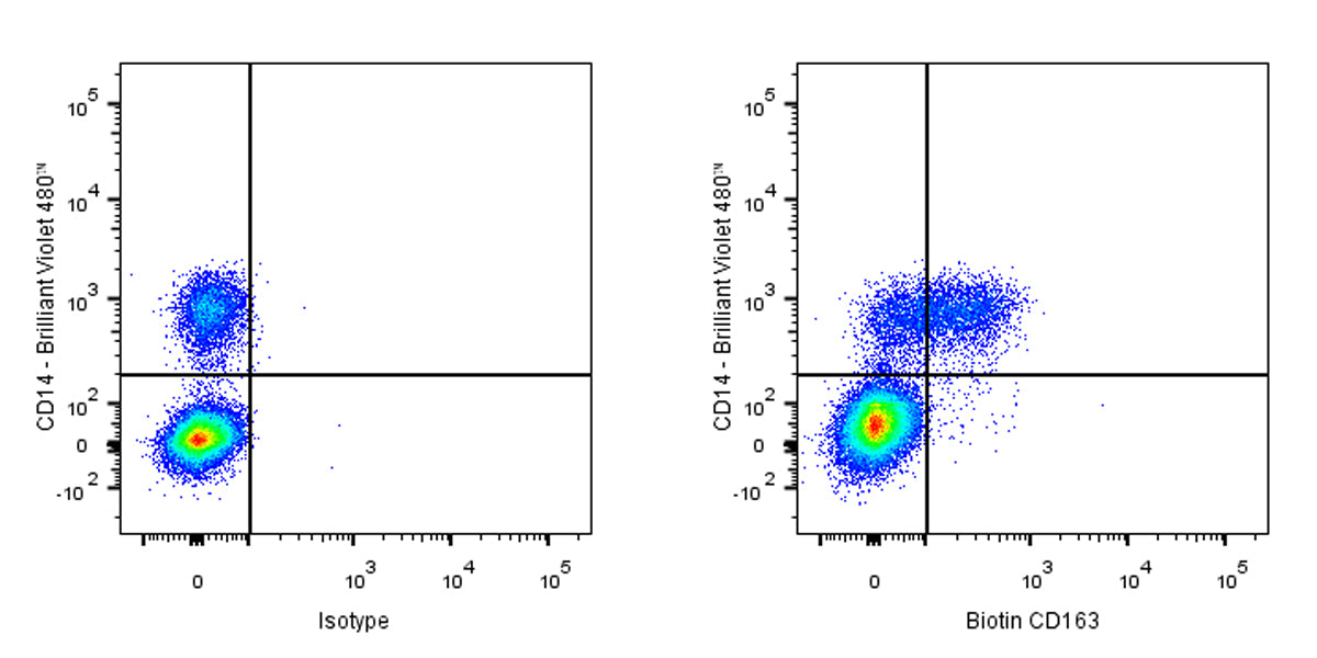 Biotin Mouse Anti-Human CD163 Antibody (GHI/61)