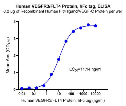 Human FLT4 Protein, hFc Tag