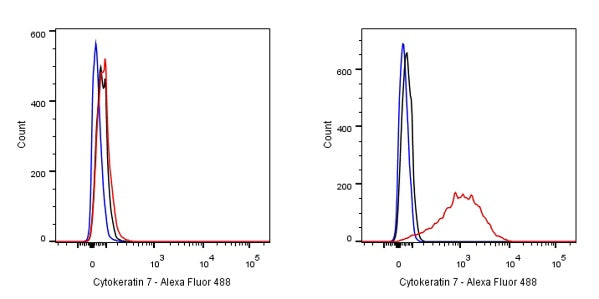 Cytokeratin 7 Recombinant Rabbit mAb (SDT-R028)