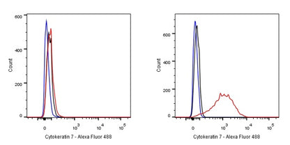 Cytokeratin 7 Recombinant Rabbit mAb (SDT-R028)