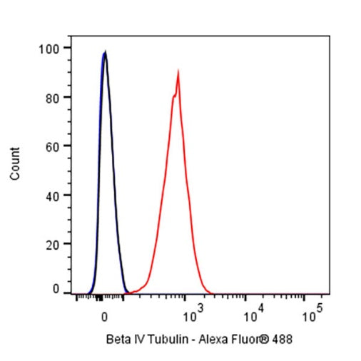 Beta IV Tubulin Recombinant Rabbit mAb (S-1572-30)