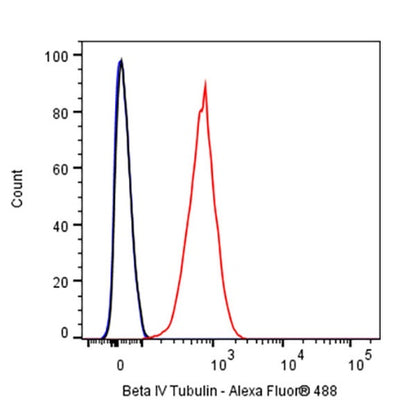 Beta IV Tubulin Recombinant Rabbit mAb (S-1572-30)