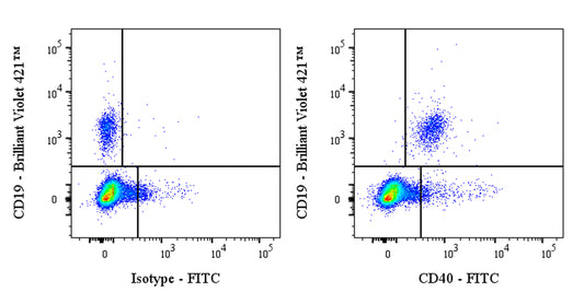 FITC Mouse Anti-Human CD40 Antibody (5C3)