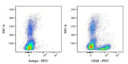 FITC Mouse Anti-Human/ Monkey CD28 Antibody (CD28.2)
