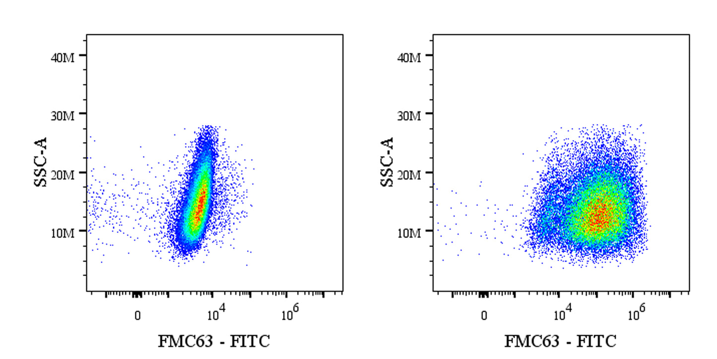 Anti-FMC63 Recombinant Rabbit mAb (FITC Conjugate) (S-2163-30)