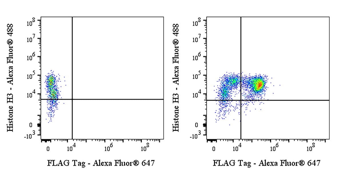 FLAG Tag Recombinant Rabbit mAb (Alexa Fluor® 647 Conjugate) (S-SC044)