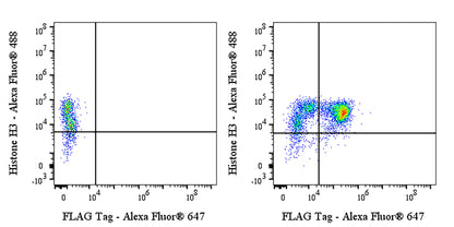 FLAG Tag Recombinant Rabbit mAb (Alexa Fluor® 647 Conjugate) (S-SC044)