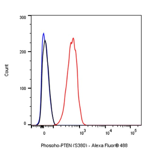 Phospho-PTEN (S380) Recombinant Rabbit mAb (S-1165-163)
