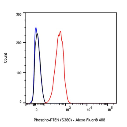 Phospho-PTEN (S380) Recombinant Rabbit mAb (S-1165-163)