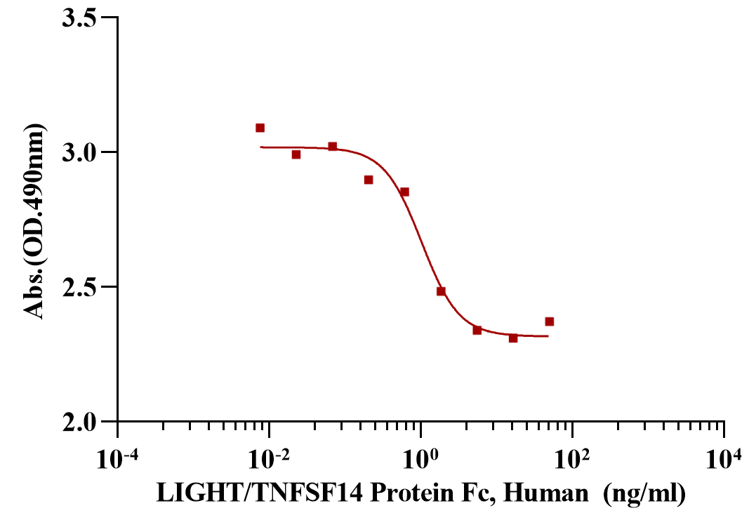 LIGHT/TNFSF14 Protein, Human