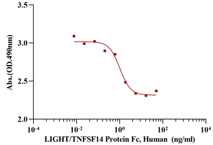 LIGHT/TNFSF14 Protein, Human