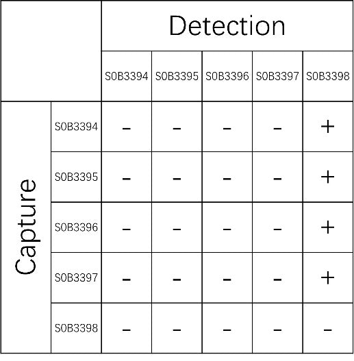 Amyloid beta 1-42 Recombinant Rabbit mAb (SDT-1549-11)