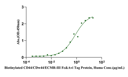 Biotinylated CD44/CDw44/ECMR-III Fc&Avi Tag Protein, Human