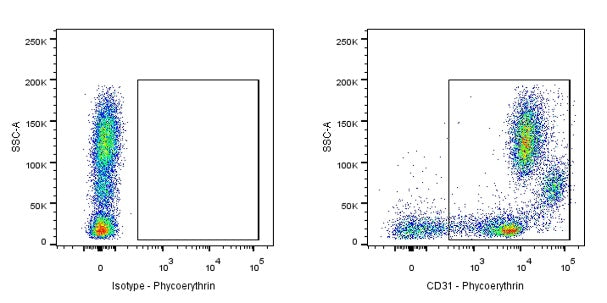 PE Mouse Anti-Human CD31 Antibody (S-934-6)