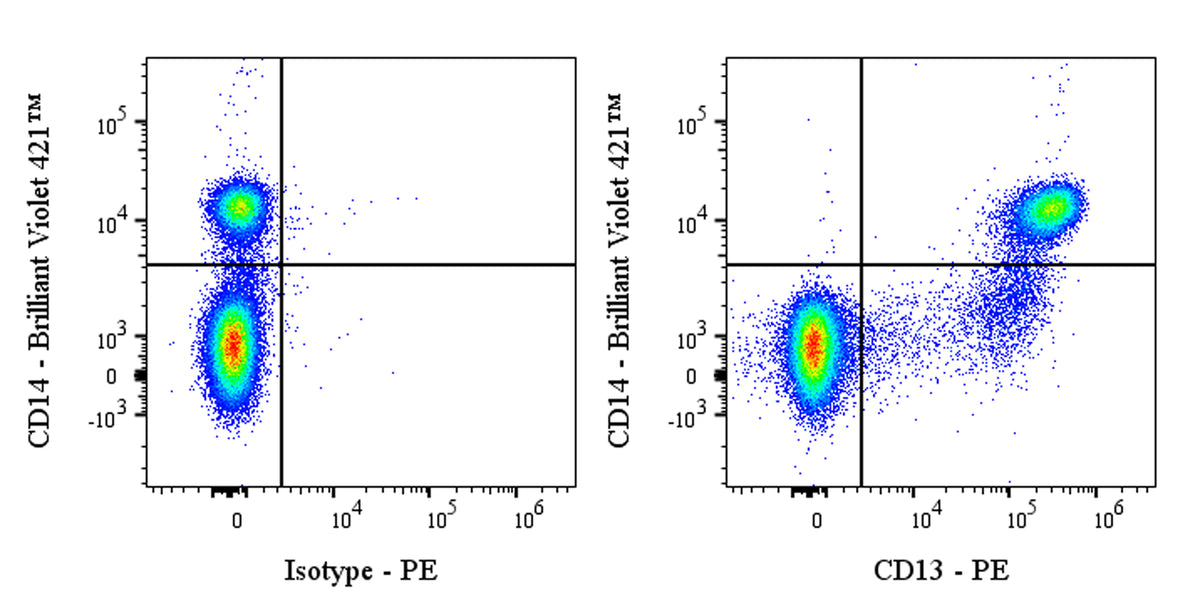 PE Mouse Anti-Human CD13 Antibody (S-689-37)