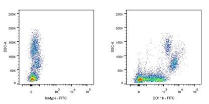 FITC Rat Anti-Mouse/Human CD11b Antibody (M1/70)