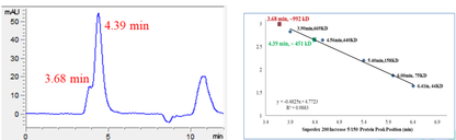 TPM3 His&GST Tag Protein, Human