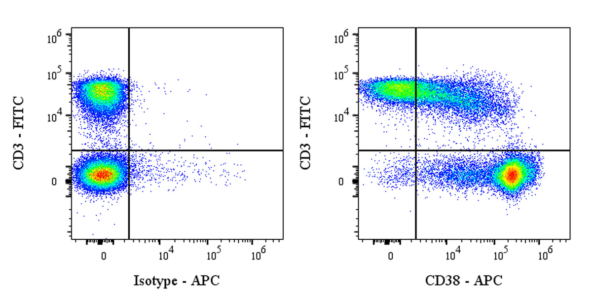 APC Rat Anti-Mouse CD38 Antibody (NIMR5)