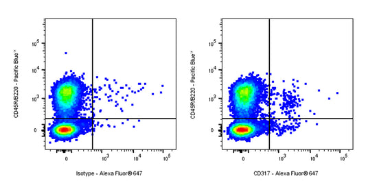 Rat Anti-Mouse CD317 Antibody (927)