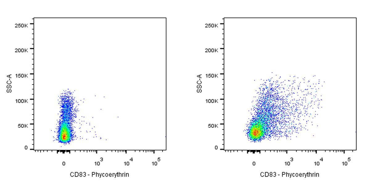 PE Mouse Anti-Human CD83 Antibody (HB15e)