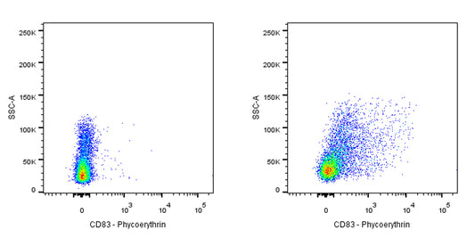 PE Mouse Anti-Human CD83 Antibody (HB15e)