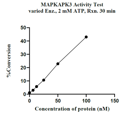 MAPKAPK3 GST Tag Protein, Human