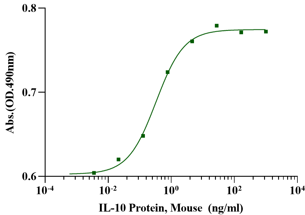 IL-10 Protein, Mouse