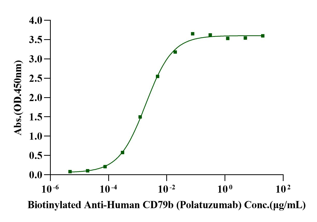 CD79B Fc Chimera Protein, Human