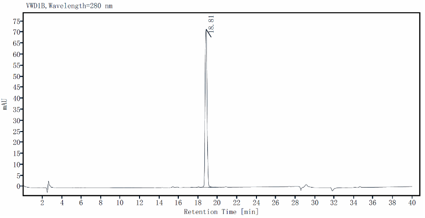 IFN-γ Protein, Mouse