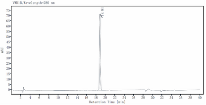IFN-γ Protein, Mouse
