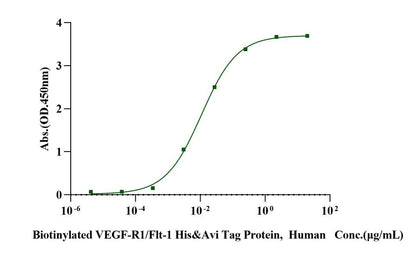 Biotinylated VEGF-R1/Flt-1 His&Avi Tag Protein,  Human