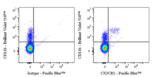 Pacific Blue Mouse Anti-Mouse CX3CR1 Antibody (S-R597)