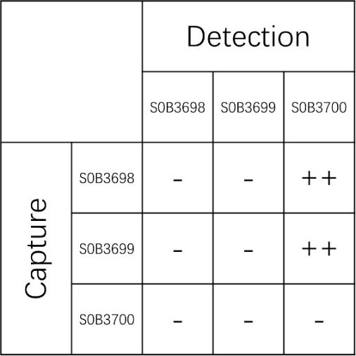 CXCL9 Recombinant Rabbit mAb (SDT-1314-128)
